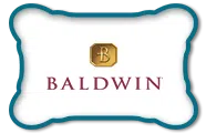 logo-image - brands-logo-baldwin